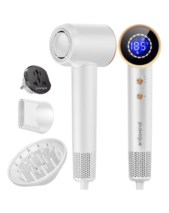 Dual Voltage Professional High-Speed Blow Dryer