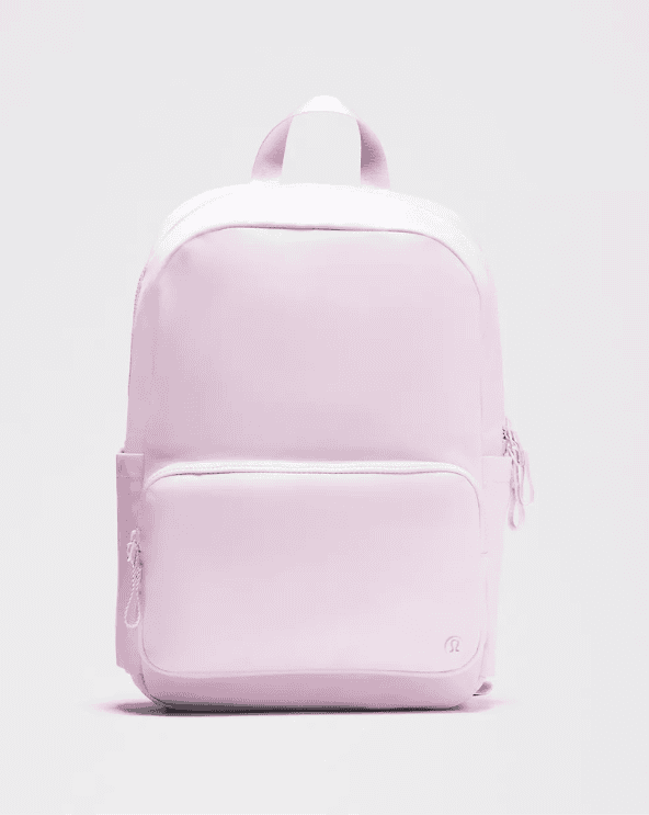 Everywhere Backpack 22L