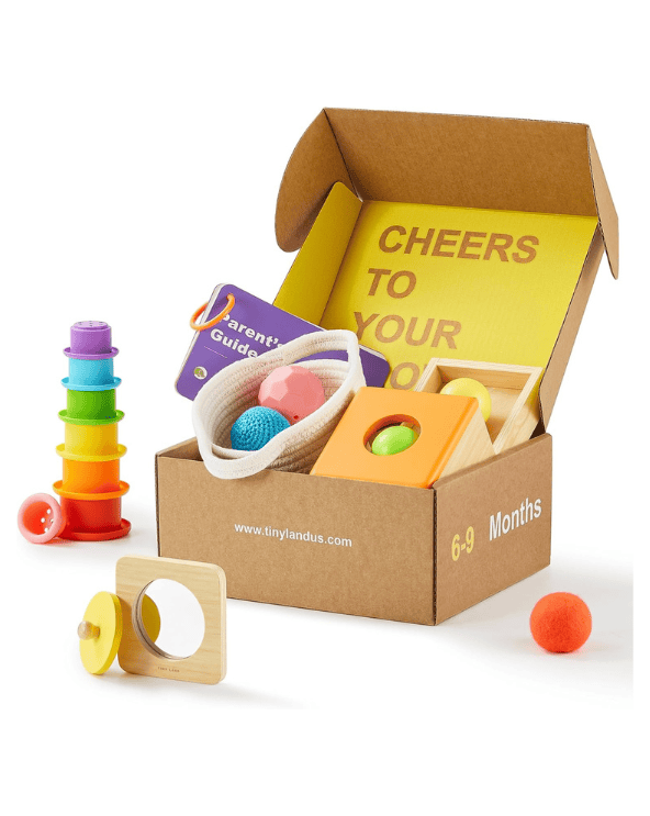 Montessori Toy Set
