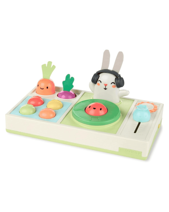 Skip Hop Baby DJ