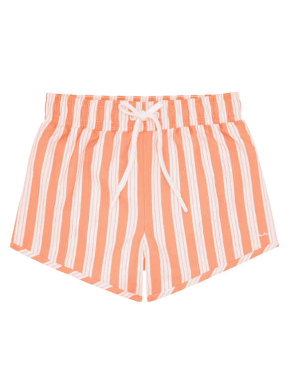 Stripe Board Shorts